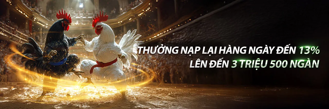 Khuyến Mãi Betvisa Chính Thức Hấp Dẫn